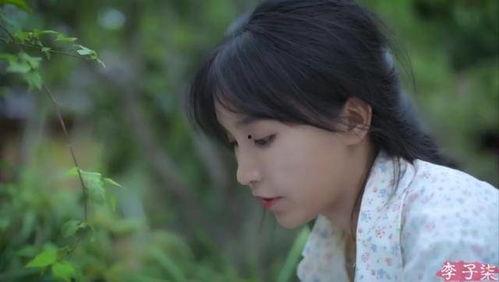 八卦娱乐吃瓜柒柒,揭秘吃瓜柒柒背后的故事